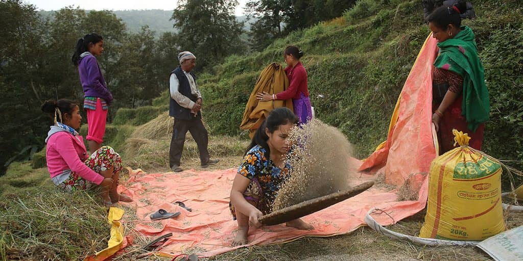 DAYS 6 and 7: BATASE VILLAGE - EAT, SLEEP AND REPEAT