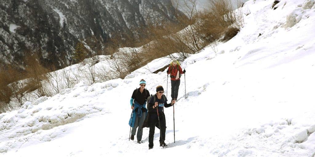 DAY 17: BAMBOO TO JHINU DANDA (1750M)