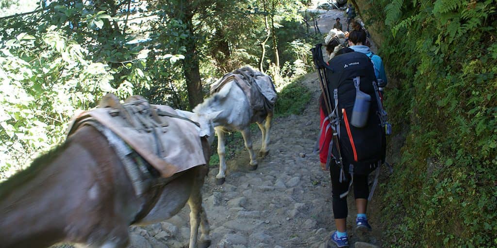 Day 7: Acclimatization Day in Manang (3,540m)