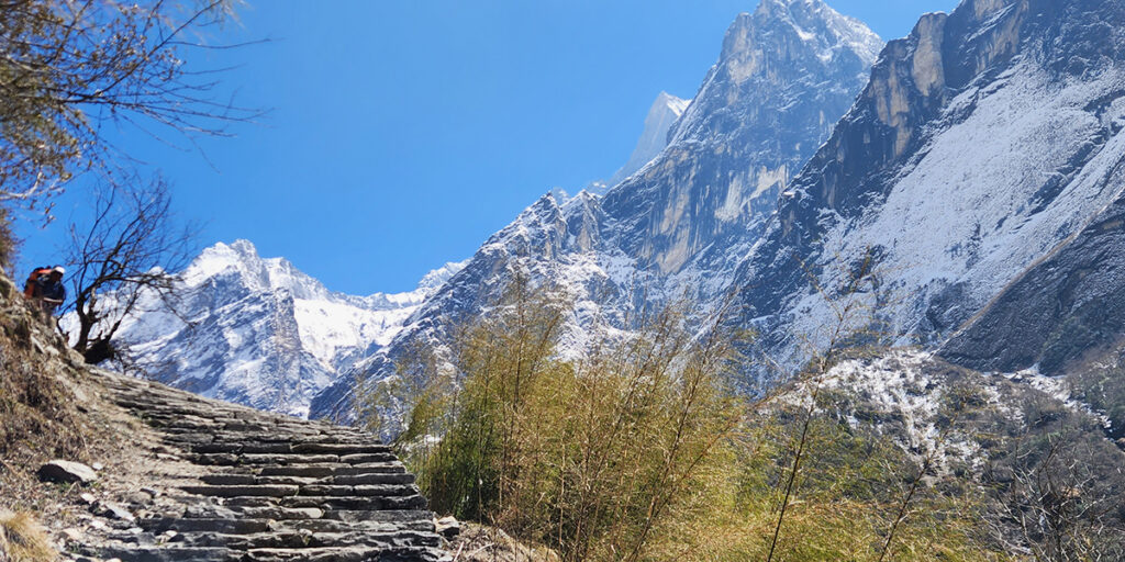 Day 5: Sunrise Trek to Poon Hill and Trek to Tadapani