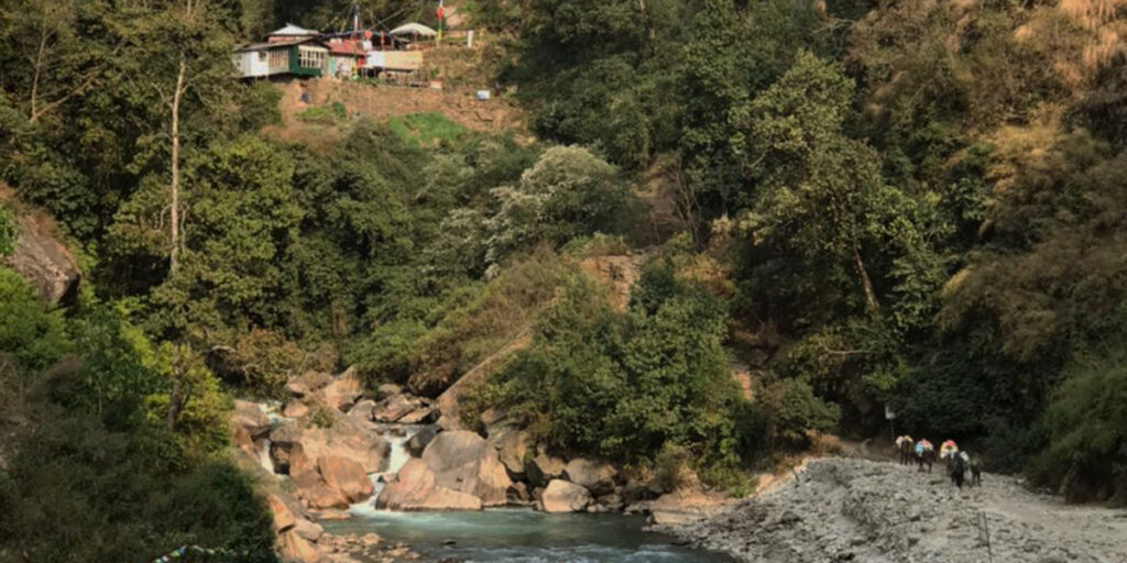 Day 8: Lama Hotel to Shyaphrubesi