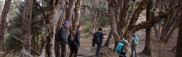 Village Experience Trekking and Tour