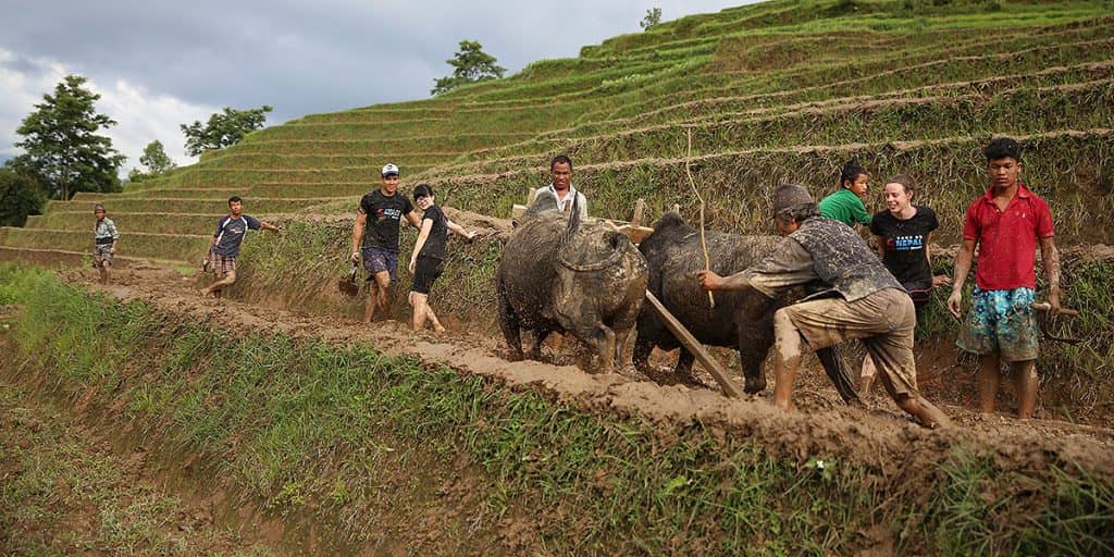 Day 6: Working Alongside the Villagers